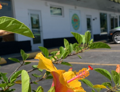 Friendly City Beautiful Day